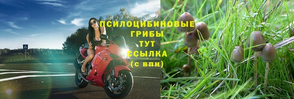амф Волоколамск