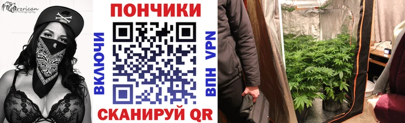 закладка  Мурманск  гидра как войти  Марихуана MAZAR 
